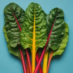 Chard Plant – Nutritious Leafy Green with Vibrant Stalks