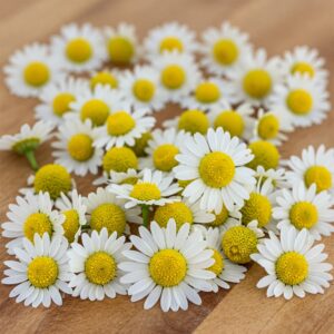 Fresh Chamomile Edible Flowers – Calming, Aromatic & Herbal