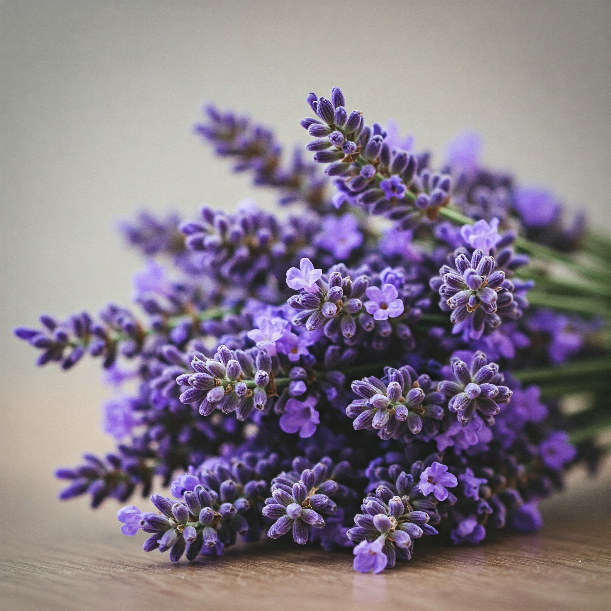 Fresh Lavender Edible Flowers – Fragrant, Calming & Gourmet - Image 5