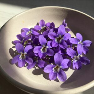 Fresh Rock Violet Edible Flowers – Delicate, Colorful & Nutritious