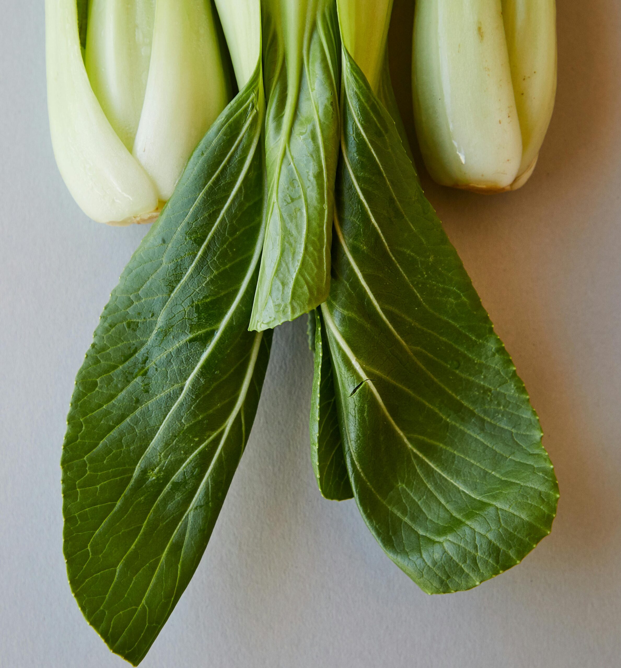 Fresh Pak Choy – Crisp, Nutritious & Versatile - Image 2