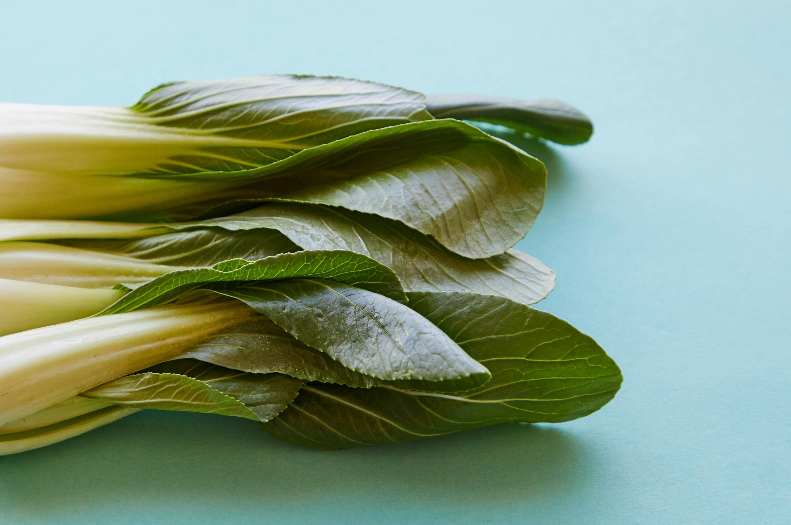 Fresh Pak Choy – Crisp, Nutritious & Versatile - Image 4