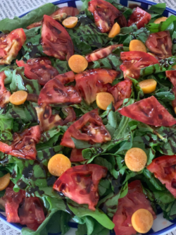 A salad made with rocket and tomato form green apron (rocket cuts fat)